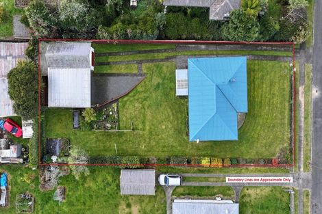 Photo of property in 46 Neal Street, Putaruru, 3411