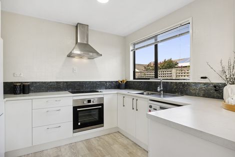 Photo of property in 125 Highcliff Road, Shiel Hill, Dunedin, 9013