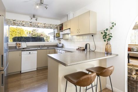 Photo of property in 3 Leefield Street, Blenheim, 7201