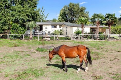 Photo of property in 821a White Pine Bush Road, White Pine Bush, Whakatane, 3191