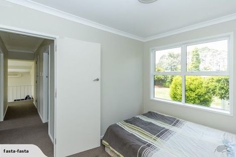 Photo of property in 20 Patrick Place, Fitzroy, Hamilton, 3206