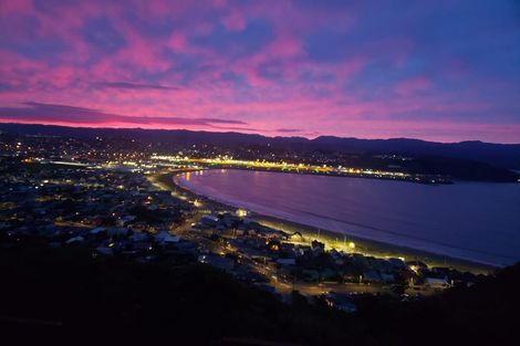 Photo of property in 105 Hornsey Road, Melrose, Wellington, 6023