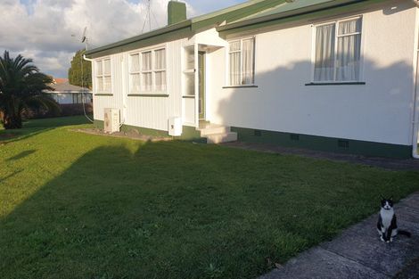 Photo of property in 41 Marchant Street, Putaruru, 3411