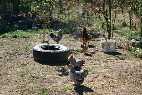 Photo of property in 40 Woodland Avenue, Mosgiel, 9024