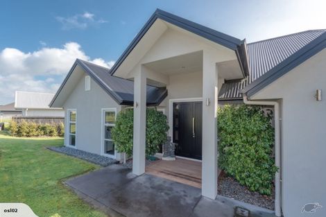 Photo of property in 18 Bos Crescent, Flagstaff, Hamilton, 3210