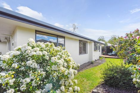 Photo of property in 15 Appaloosa Avenue, Richmond, 7020