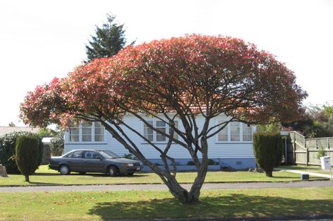 Photo of property in 36 Miller Street, Glenholme, Rotorua, 3010