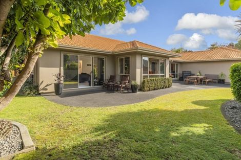 Photo of property in 92 Westmorland Rise, Bethlehem, Tauranga, 3110