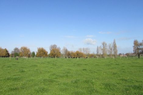 Photo of property in 13 Temm Road, Te Poi, Matamata, 3473