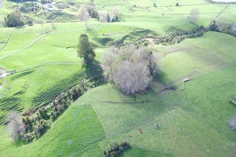 Photo of property in 233 Driver Road, Ngaruawahia, 3281