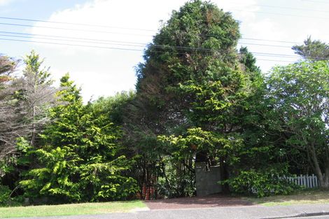 Photo of property in 1 Hadfield Street, Beach Haven, Auckland, 0626