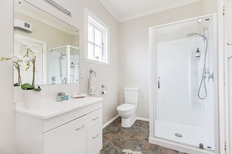 Photo of property in 22 Resolution Street, Lyall Bay, Wellington, 6022