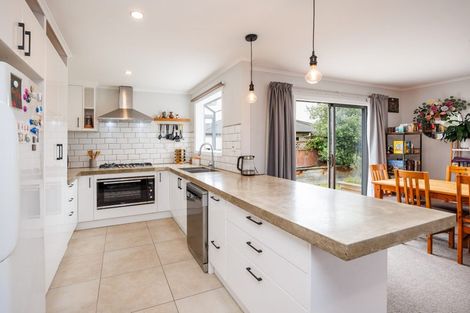 Photo of property in 7 Salisbury Avenue, Terrace End, Palmerston North, 4410