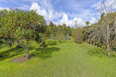 Photo of property in 19 Blease Street, New Lynn, Auckland, 0600