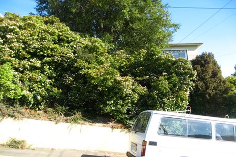 Photo of property in 24 Birchfield Avenue, North East Valley, Dunedin, 9010