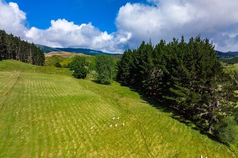 Photo of property in 1941 Tangowahine Valley Road, Tangowahine, Dargaville, 0372
