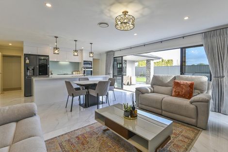 Photo of property in 31 Lochhead Street, Mahora, Hastings, 4120