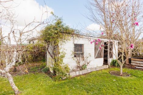 Photo of property in 6 Harford Street, Feilding, 4702