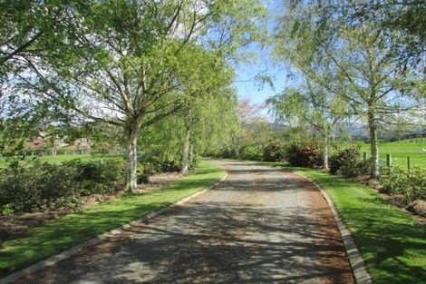 Photo of property in 40 Hunts Road, Waimate, 7978