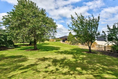 Photo of property in 1201 Wyndham Road, Tuturau, Wyndham, 9892