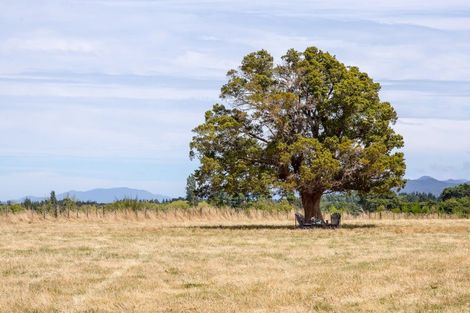 Photo of property in 607 Matarawa Road, Dalefield, Carterton, 5791