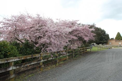Photo of property in 1113 Tauwhare Road, Tauwhare, Hamilton, 3287