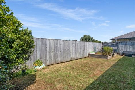 Photo of property in 121 Solomon Street, Brookfield, Tauranga, 3110