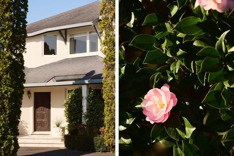 Photo of property in 40 Myres Street, Otumoetai, Tauranga, 3110