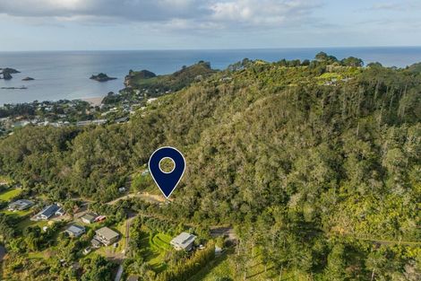 Photo of property in 25 Orchard Road, Hahei, Whitianga, 3591
