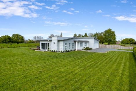Photo of property in 13 Temm Road, Te Poi, Matamata, 3473