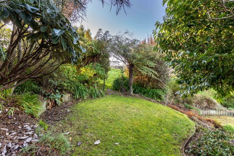 Photo of property in 135 Balmacewen Road, Wakari, Dunedin, 9010