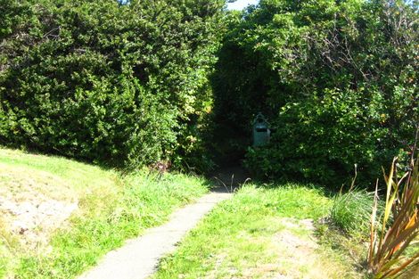 Photo of property in 28 Birchfield Avenue, North East Valley, Dunedin, 9010