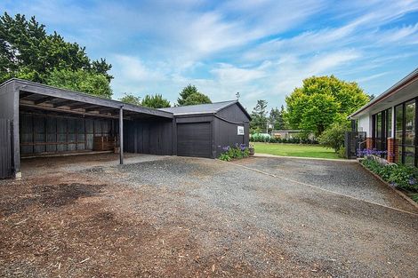 Photo of property in 22 Brown Street, Dunedin Central, Dunedin, 9016