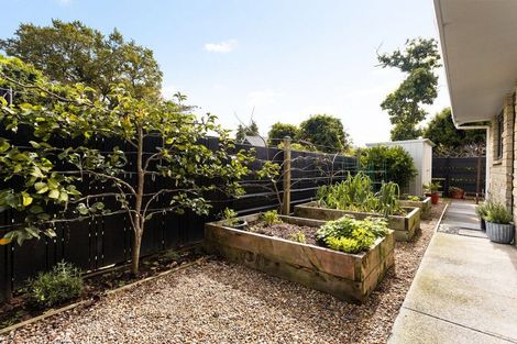 Photo of property in 71b Scott Street, Leamington, Cambridge, 3432