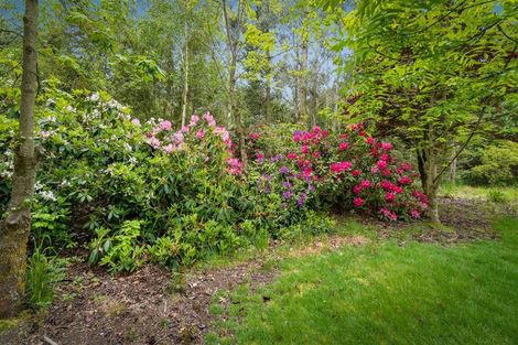 Photo of property in 1837 West Coast Road, Kirwee, Christchurch, 7671