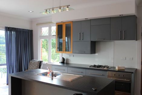 Photo of property in 113 Signal Hill Road, Opoho, Dunedin, 9010