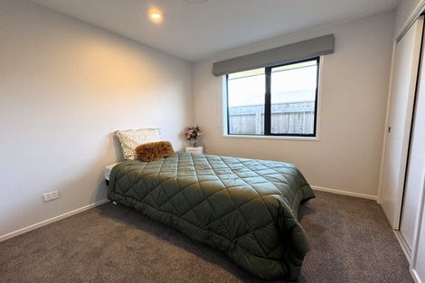 Photo of property in 45 Accolade Street, Feilding, 4702