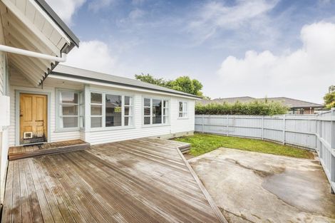 Photo of property in 47 Knowles Street, Terrace End, Palmerston North, 4410