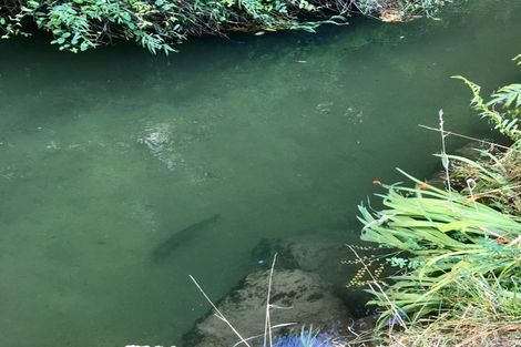 Photo of property in 13 La Trobe Place, Utuhina, Rotorua, 3015