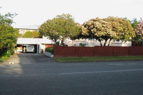 Photo of property in 313 Scott Street, Witherlea, Blenheim, 7201