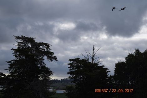 Photo of property in 166 Top Road, Dairy Flat, 0792