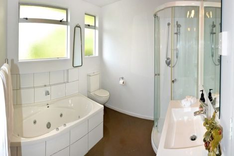 Photo of property in 12a Coney Hill Road, Saint Clair, Dunedin, 9012