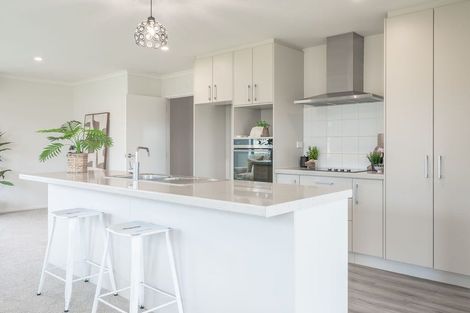 Photo of property in 100 Puhirake Crescent, Pyes Pa, Tauranga, 3112
