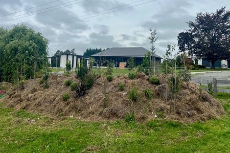 Photo of property in 62 Timaru Road, Waimate, 7924