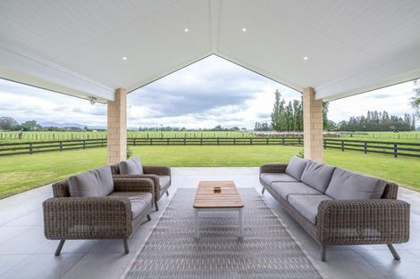 Photo of property in 2/53 Jellicoe Street, Greytown, 5712