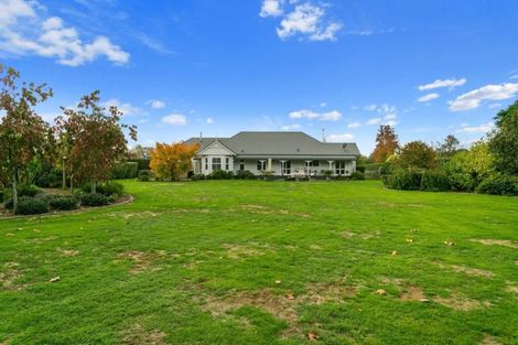 Photo of property in 78 Amelia Place, Leamington, Cambridge, 3432