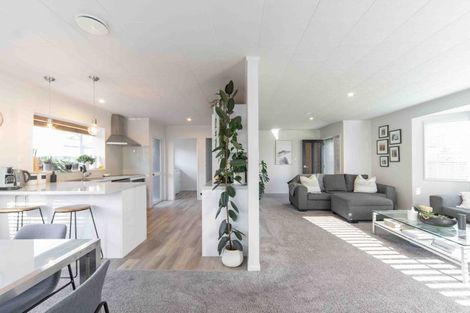 Photo of property in 33 Mckain Place, Fitzroy, Hamilton, 3206