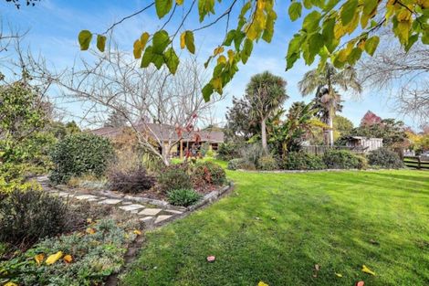 Photo of property in 146 Sandspit Road, Warkworth, 0982