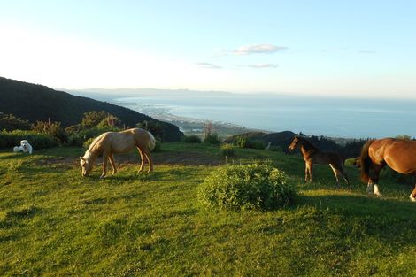 Photo of property in 445 Bird Road, Clifton, Takaka, 7183