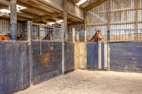 Photo of property in 1 Waingongoro Road, Cardiff, Stratford, 4391